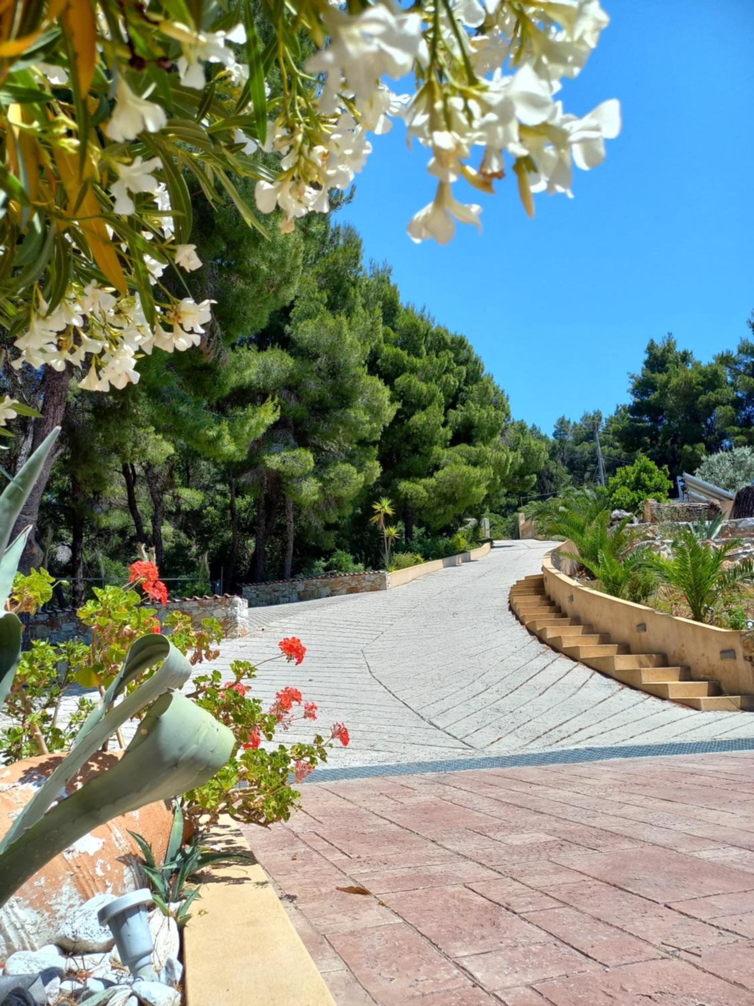 Core Luxury Suites (Adults Only) Skiathos Town Exterior foto